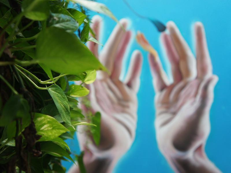 فندق سول بيتش بلايا ديل كارمن المظهر الخارجي الصورة